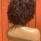 Afro curly human hair wig