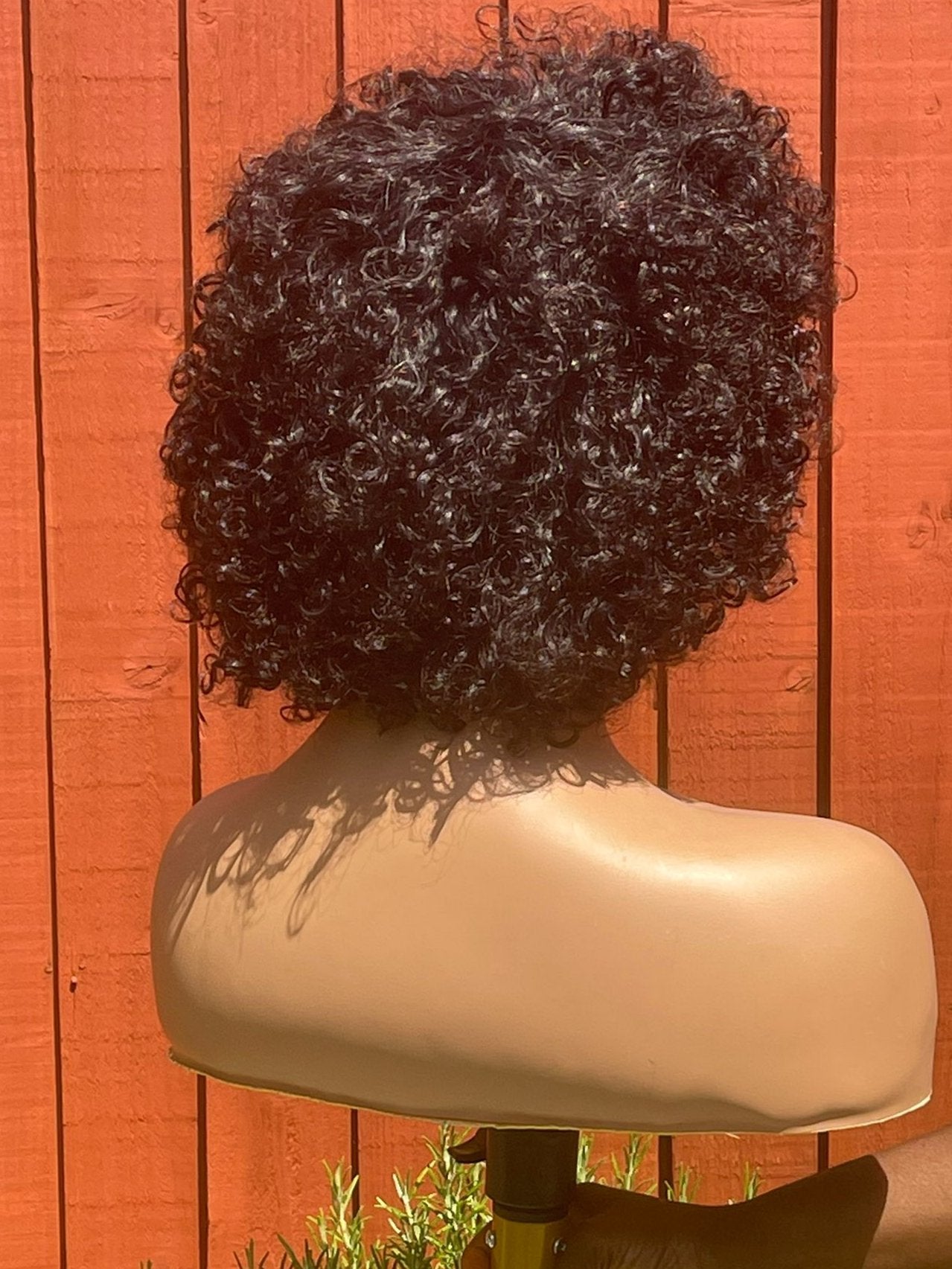 Afro curly human hair wig