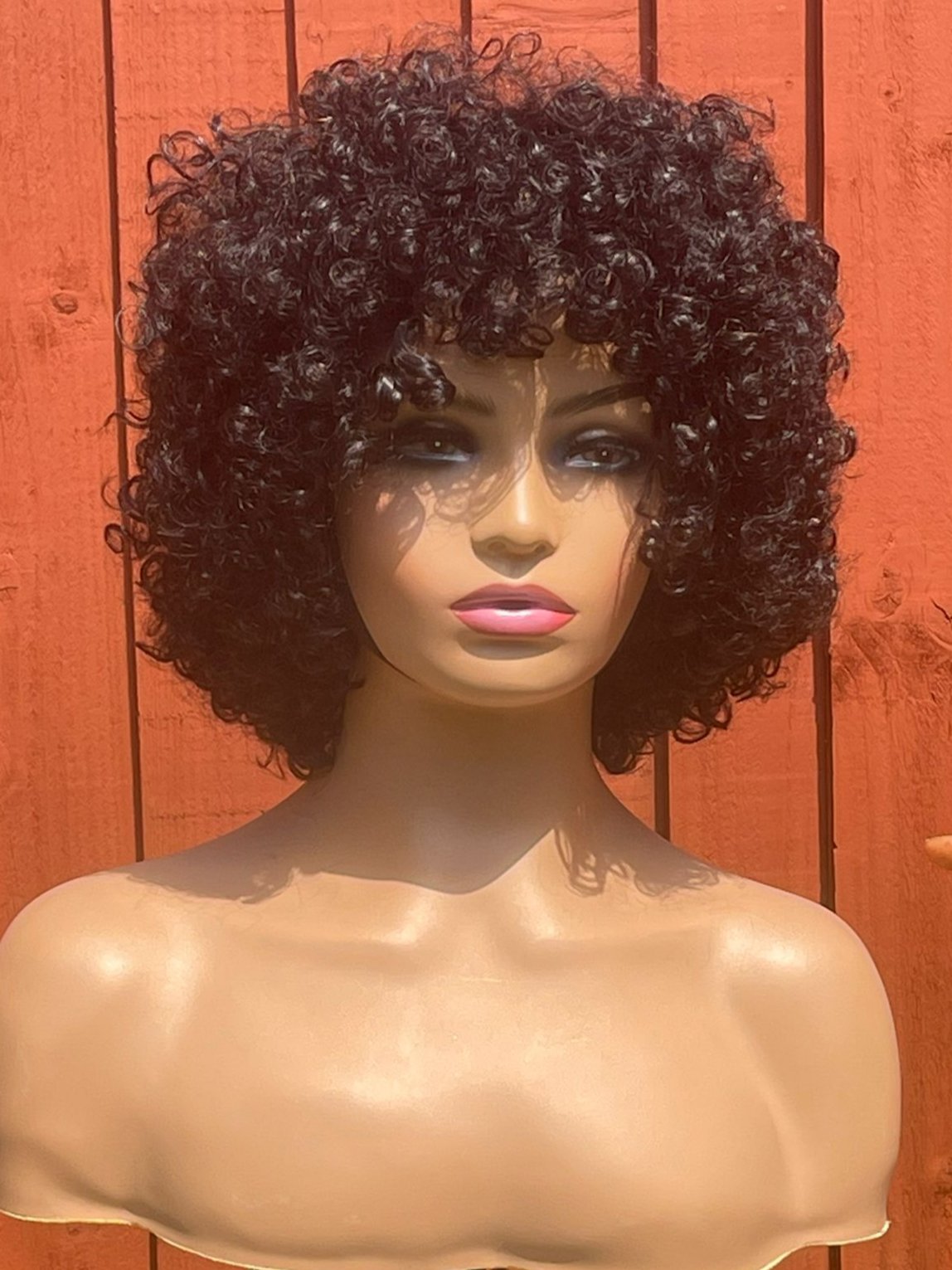 Afro curly human hair wig